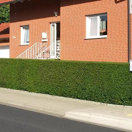 Apartment Mit Blick Auf Herkules Mit Parkplatz 卡塞尔 外观 照片